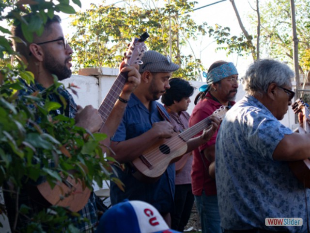 Colectivo de Son Jarocho